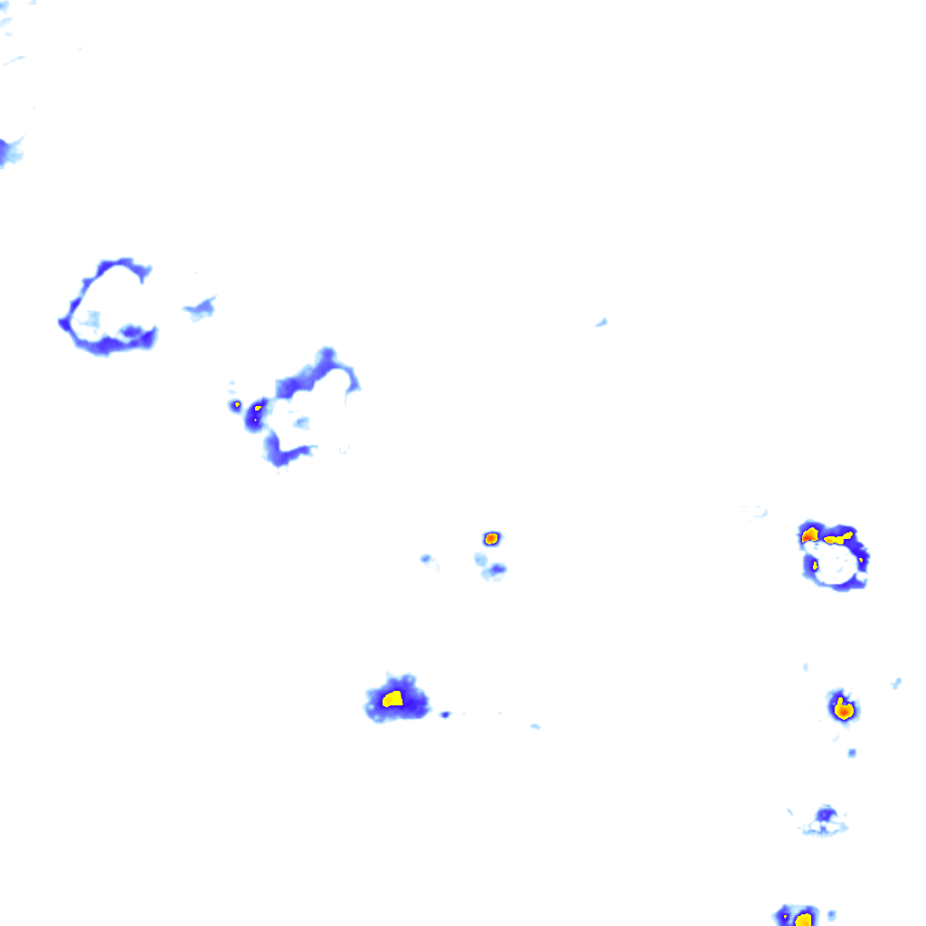 rainLayer