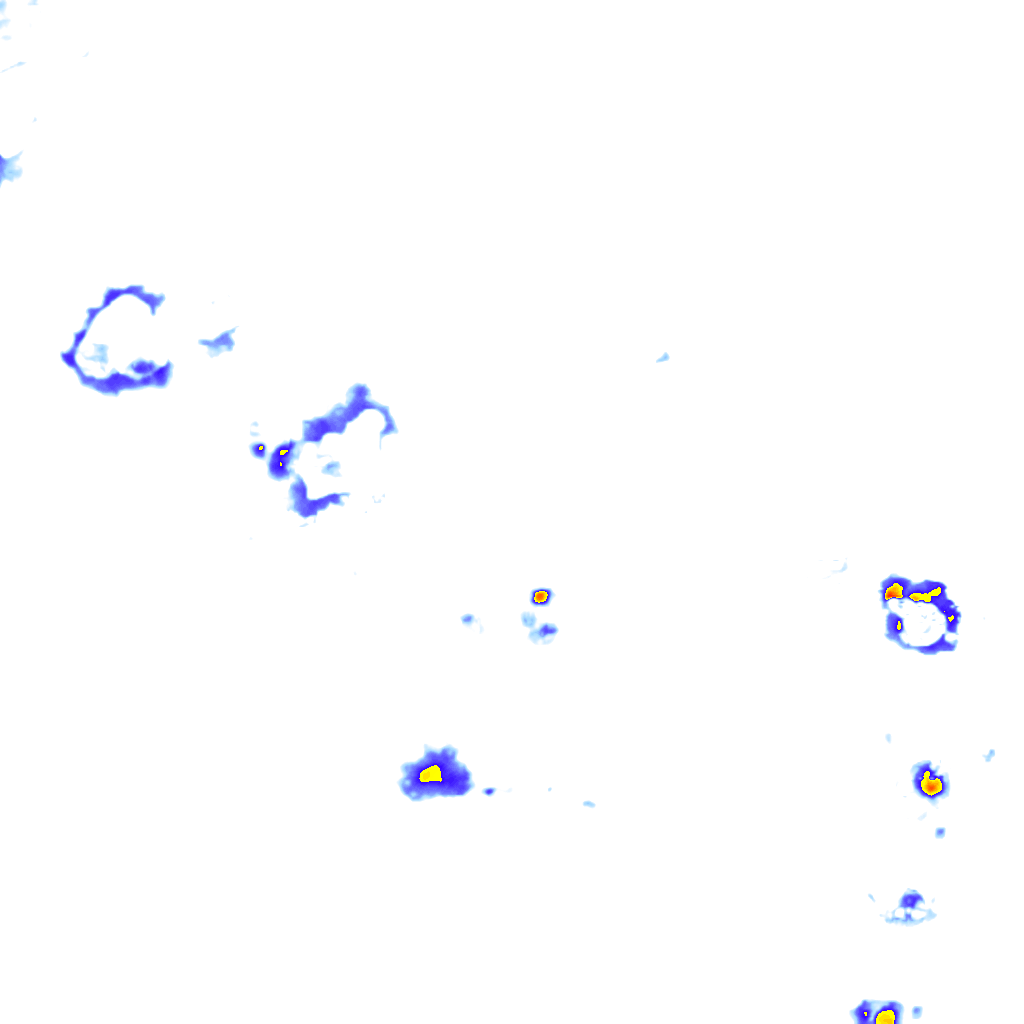rainLayer
