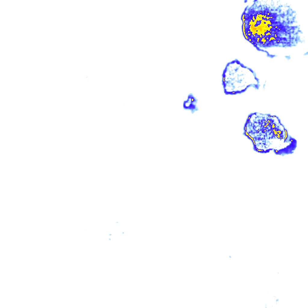 rainLayer