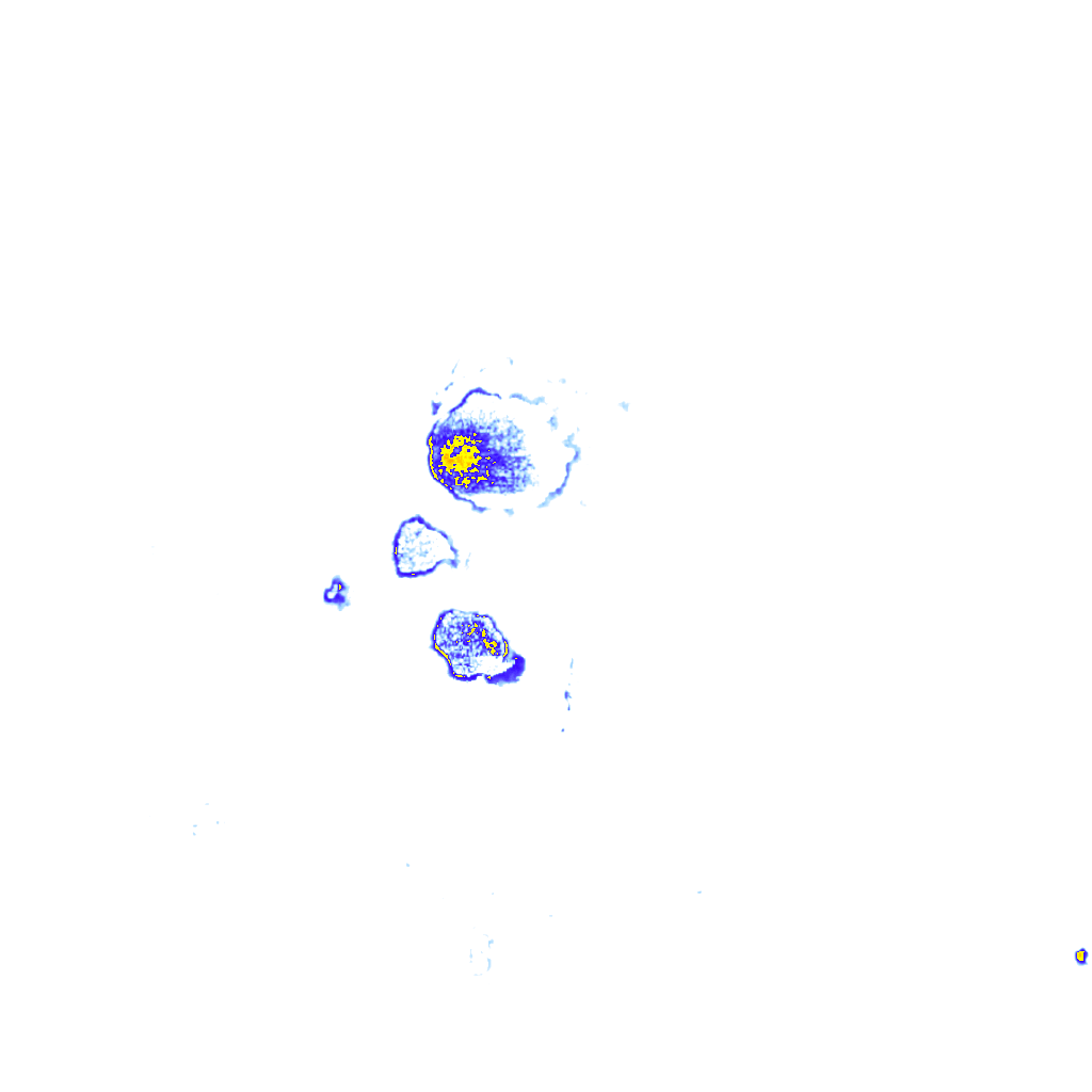 rainLayer