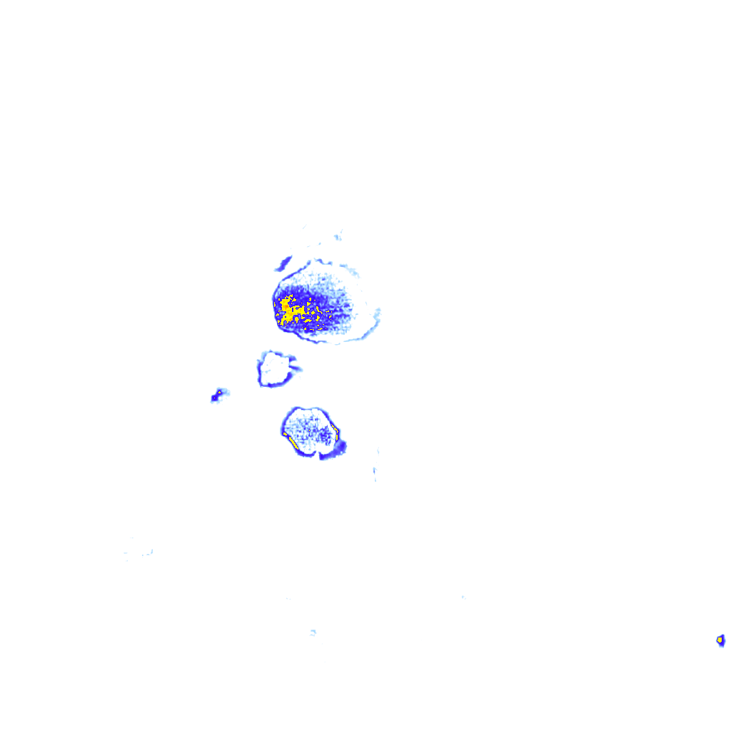 rainLayer