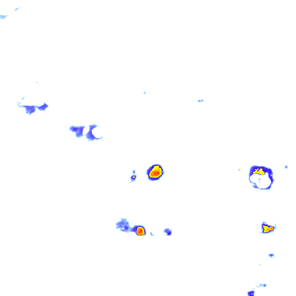 Image Layer