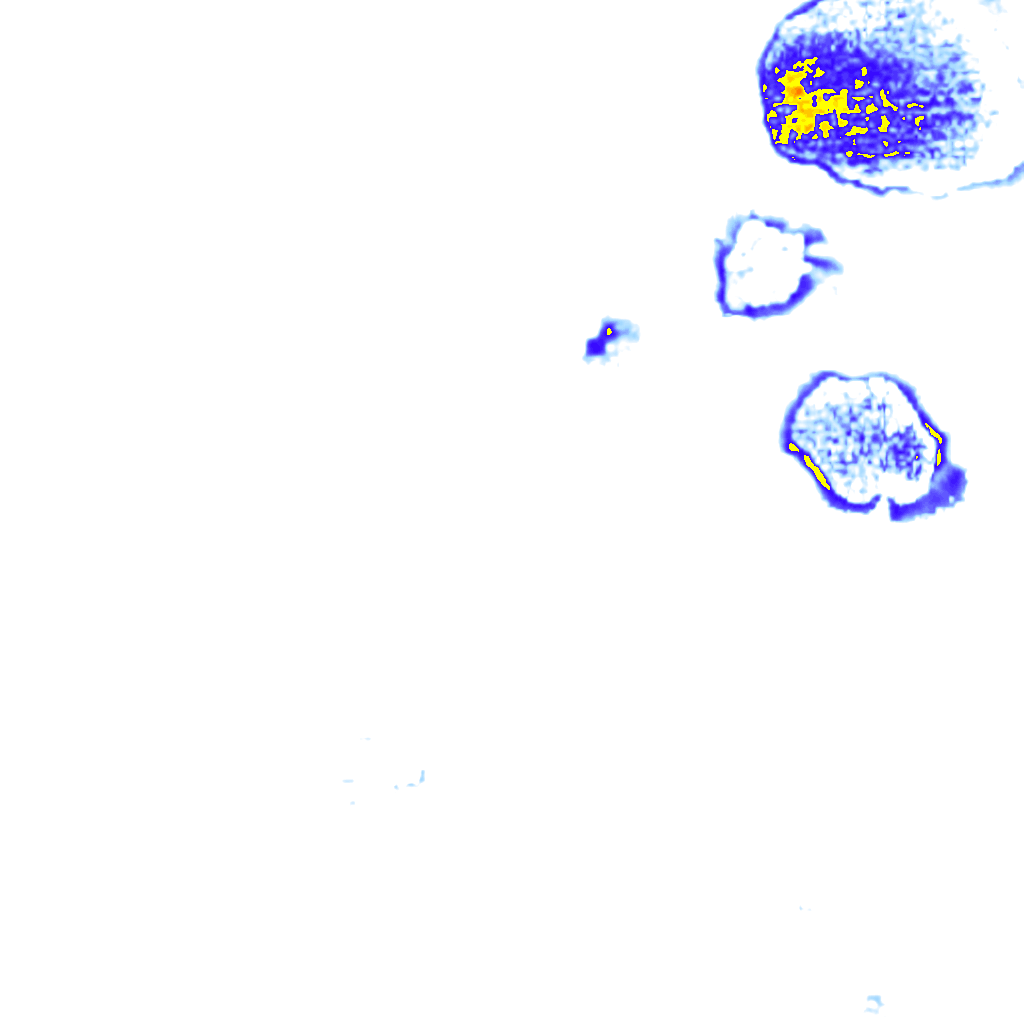 rainLayer