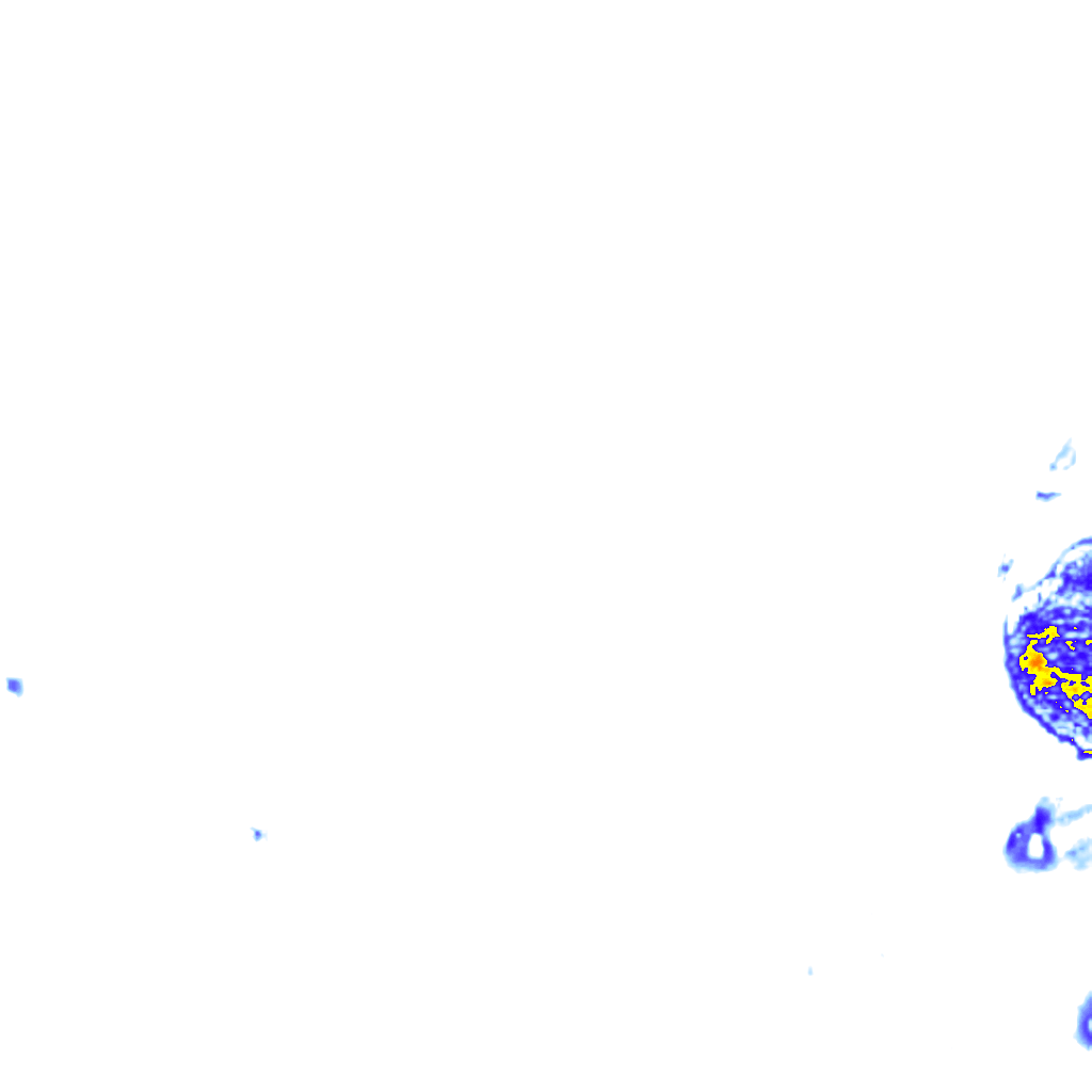 rainLayer