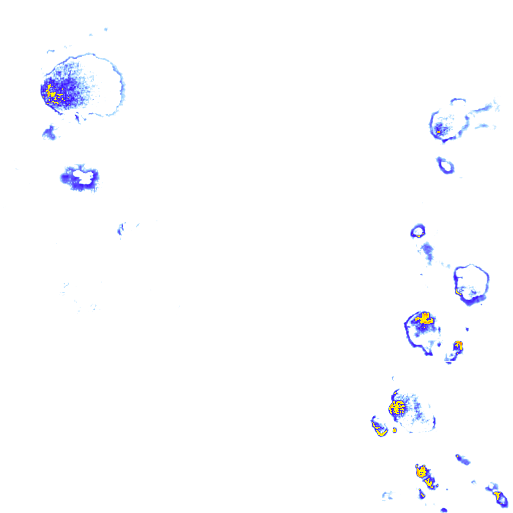 Image Layer