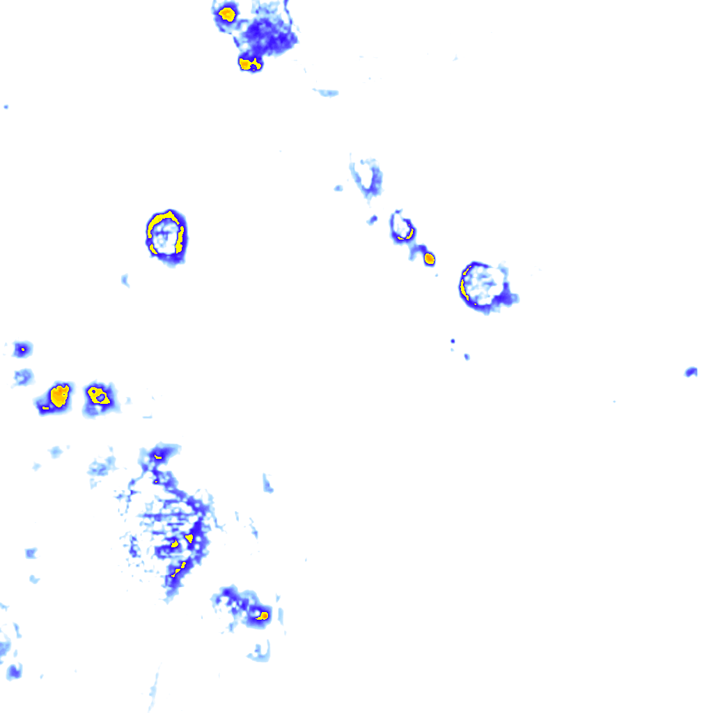 Image Layer