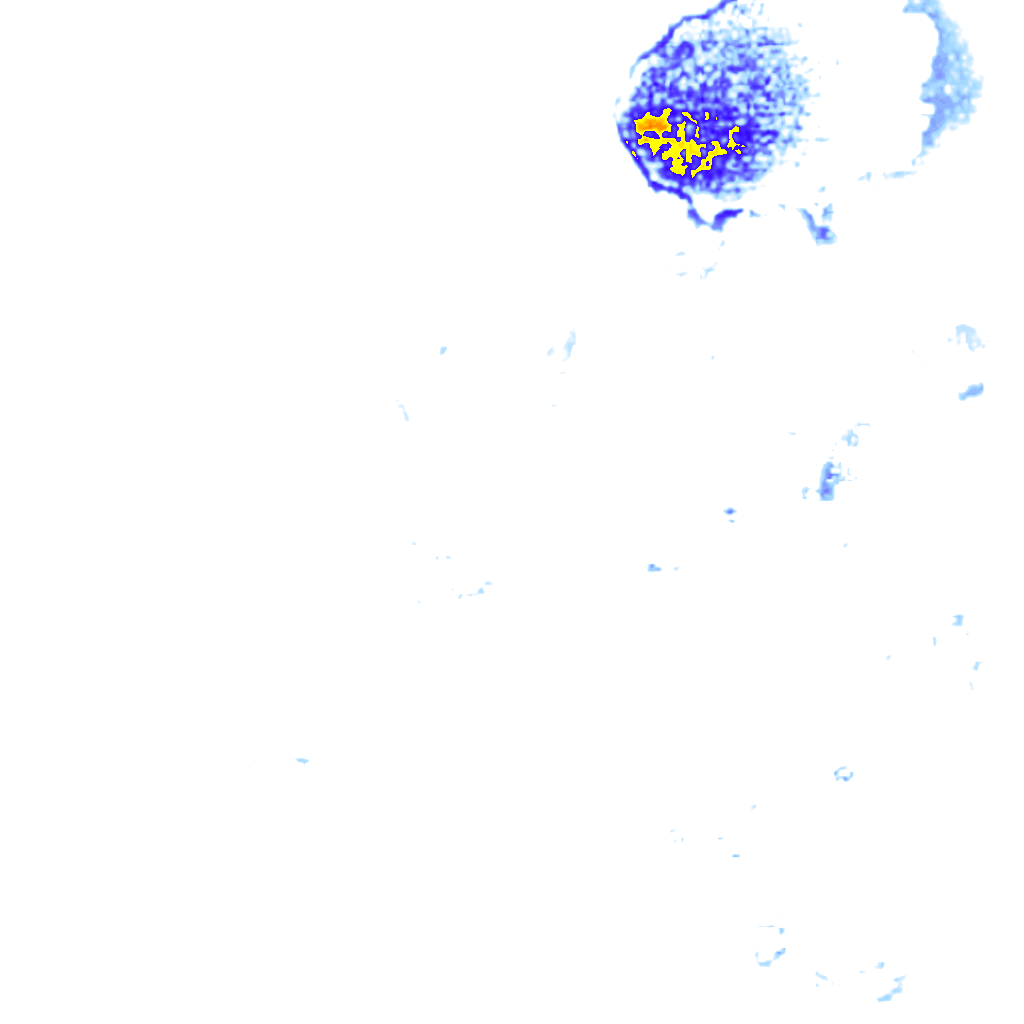 rainLayer
