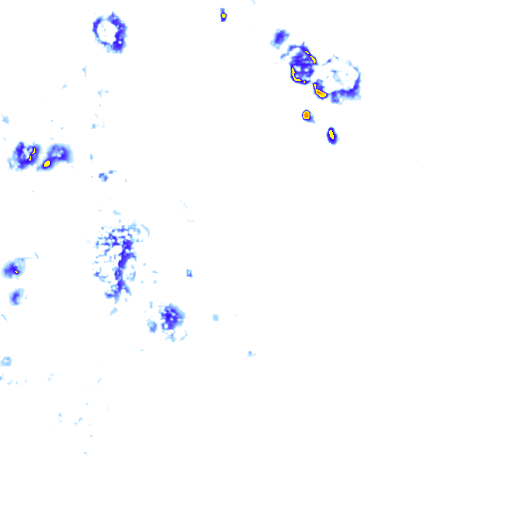 Image Layer