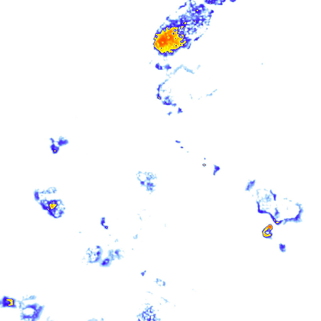 Image Layer