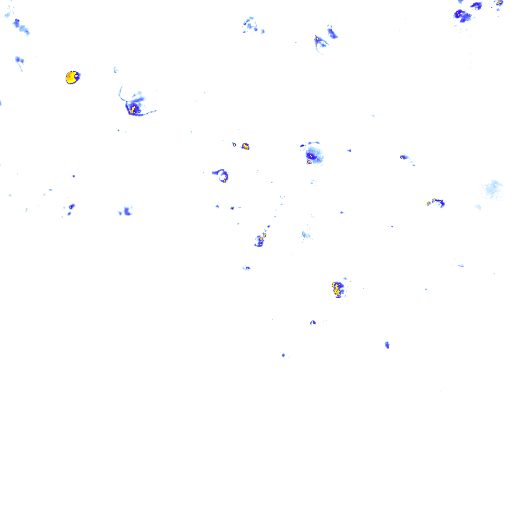 rainLayer