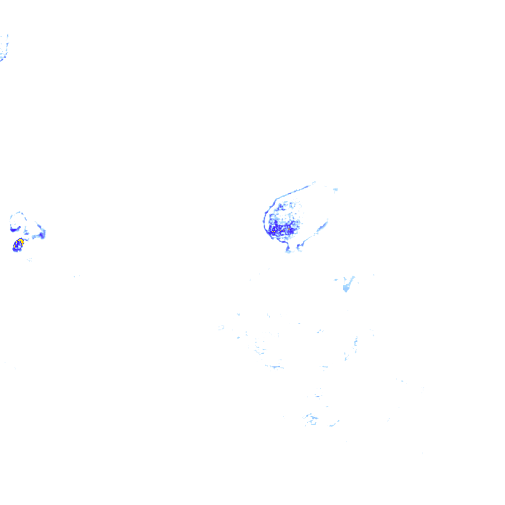 rainLayer