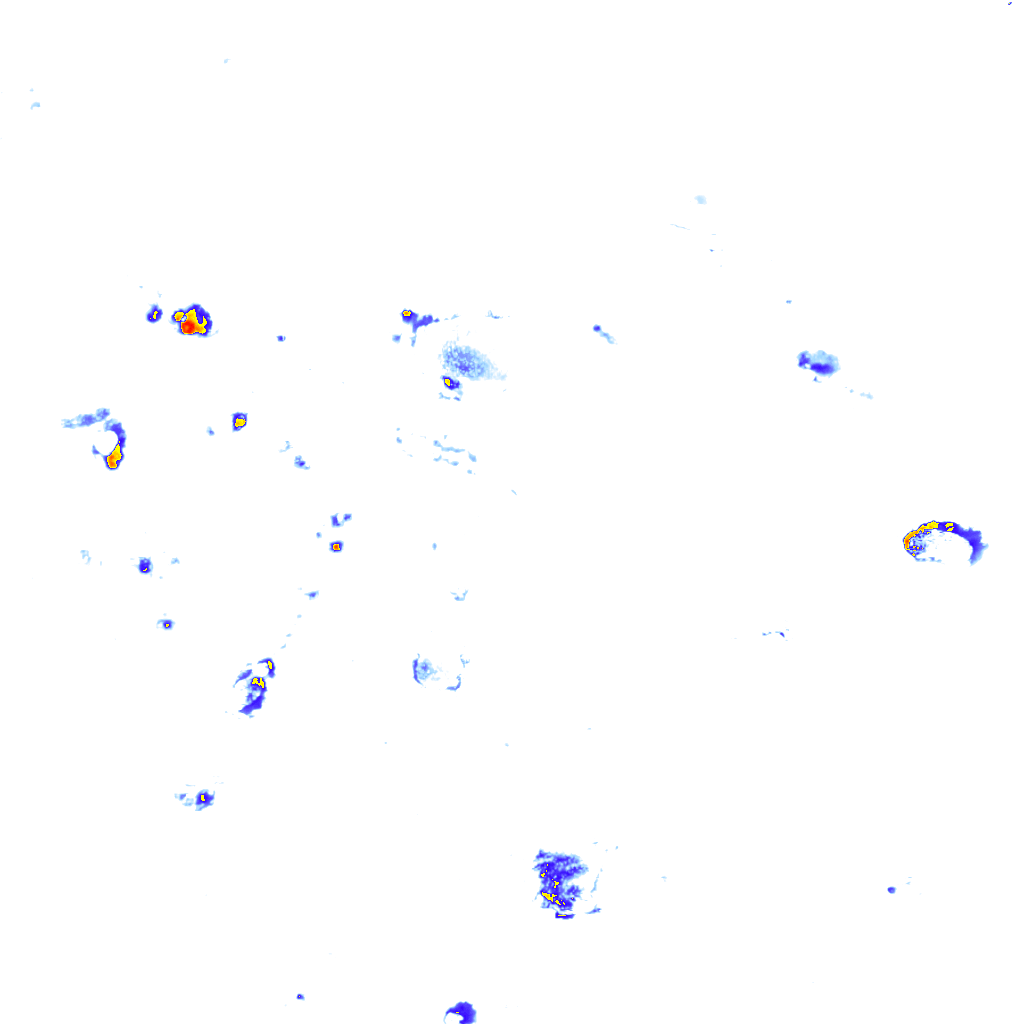 rainLayer