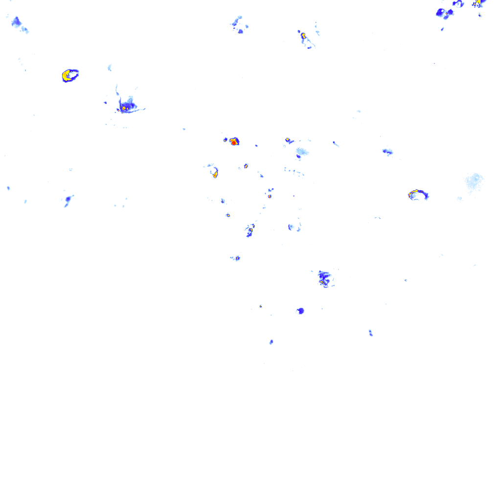 rainLayer