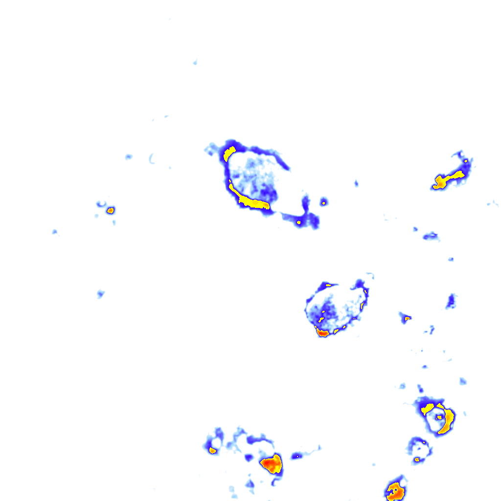 Image Layer