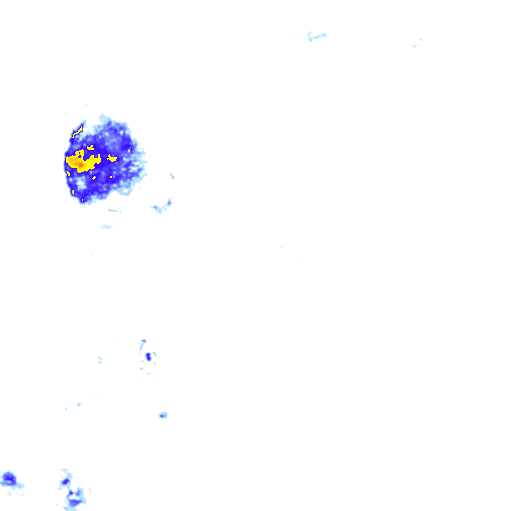 rainLayer