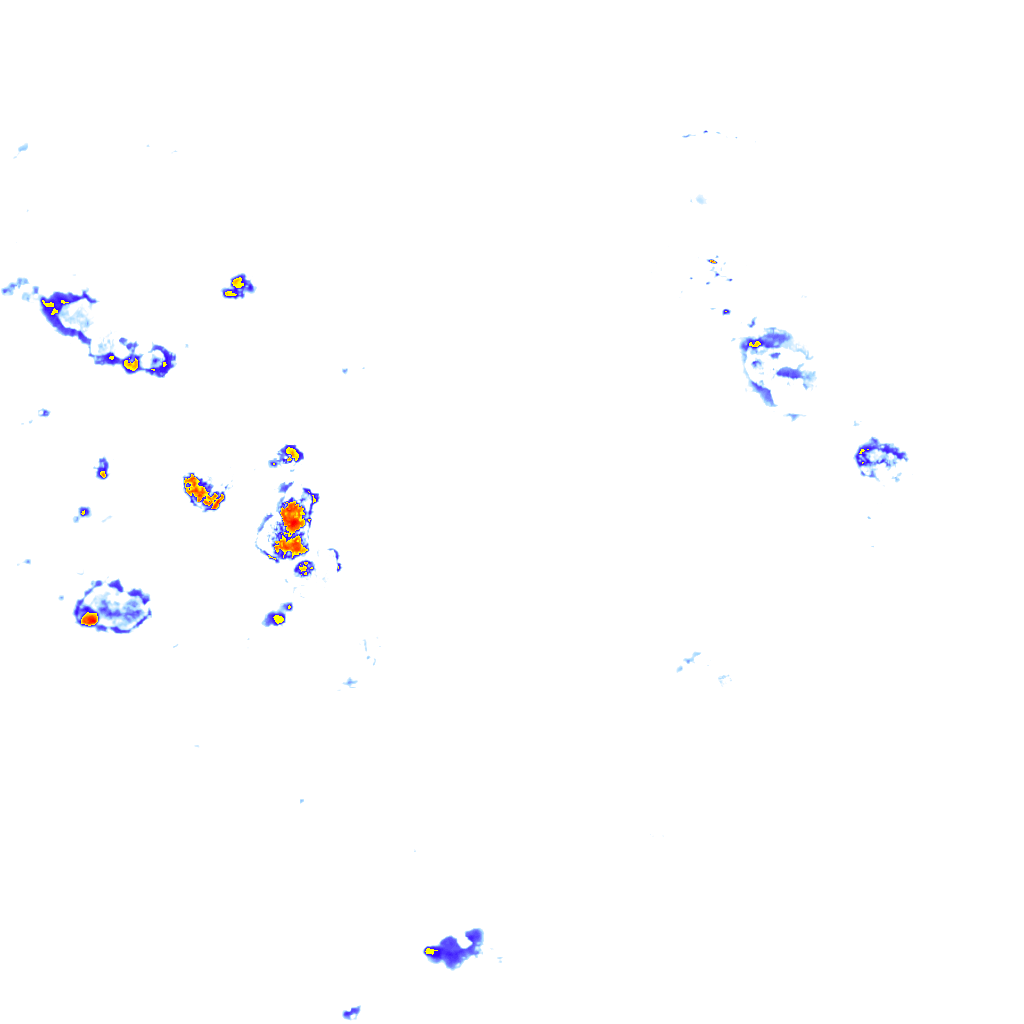 rainLayer