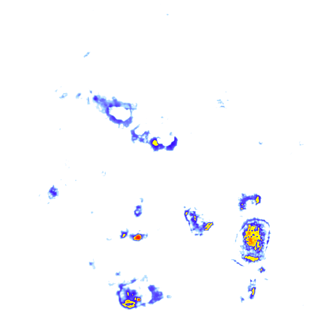rainLayer