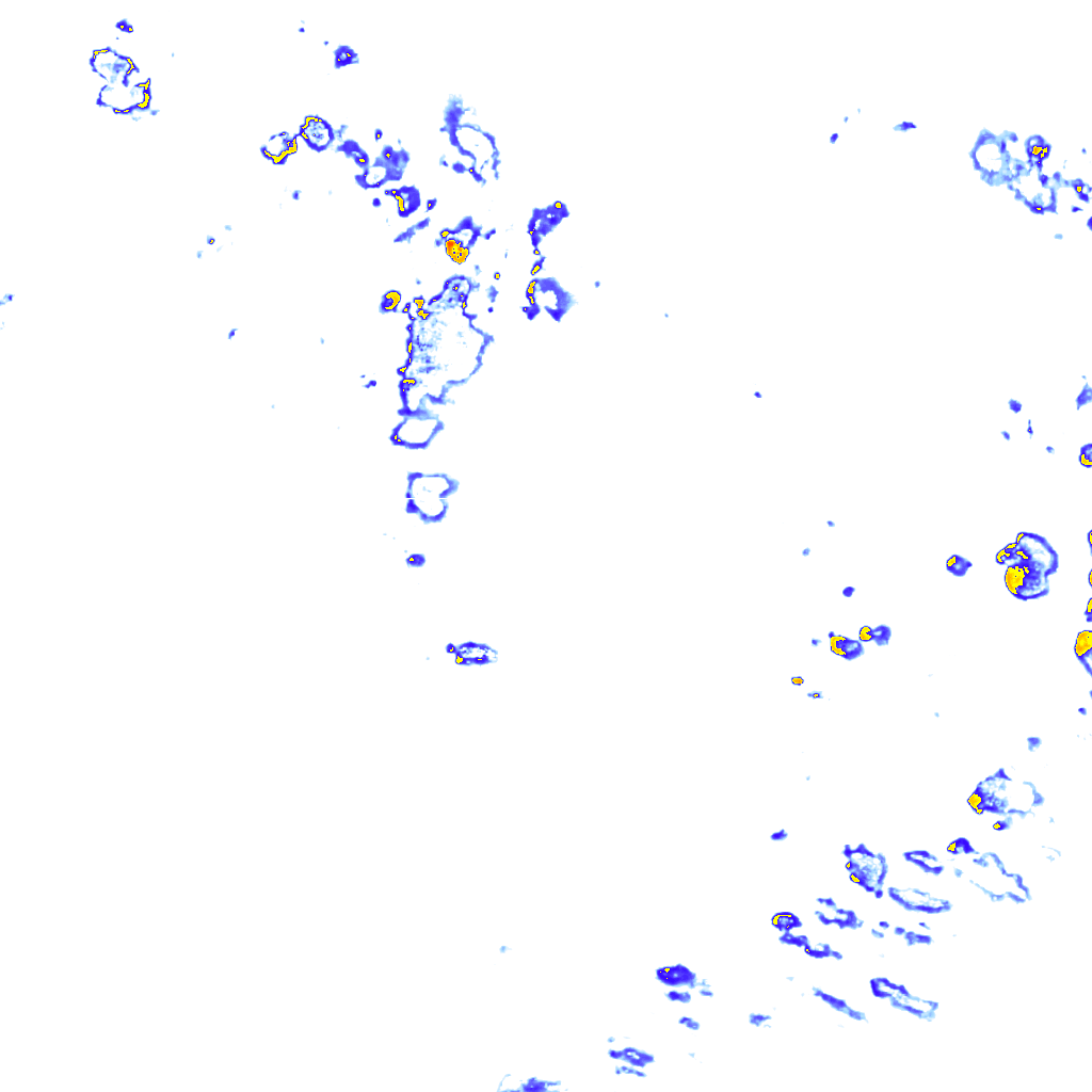 rainLayer