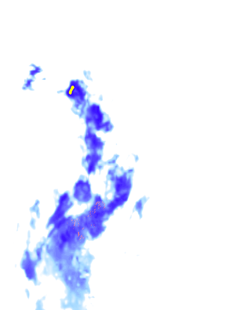 rainLayer