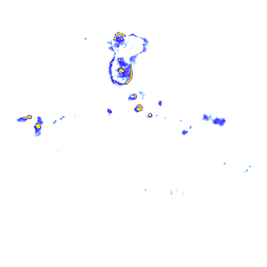 Image Layer