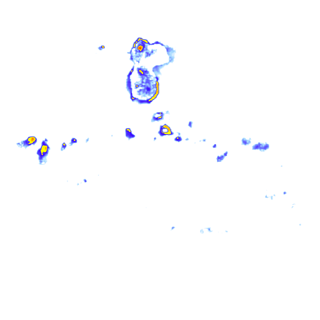 Image Layer