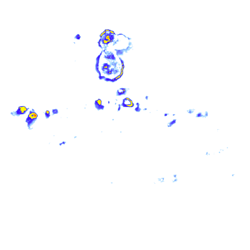 Image Layer