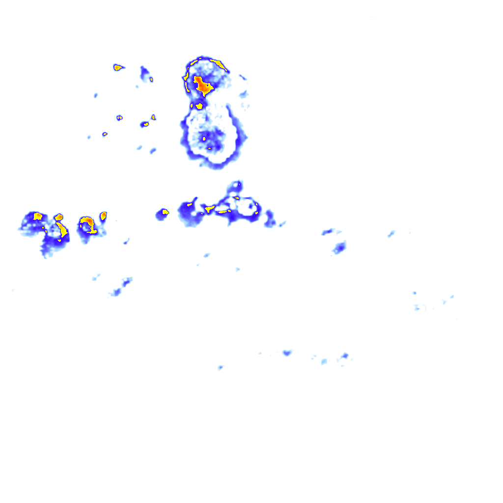 Image Layer