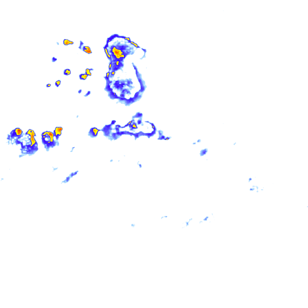 Image Layer