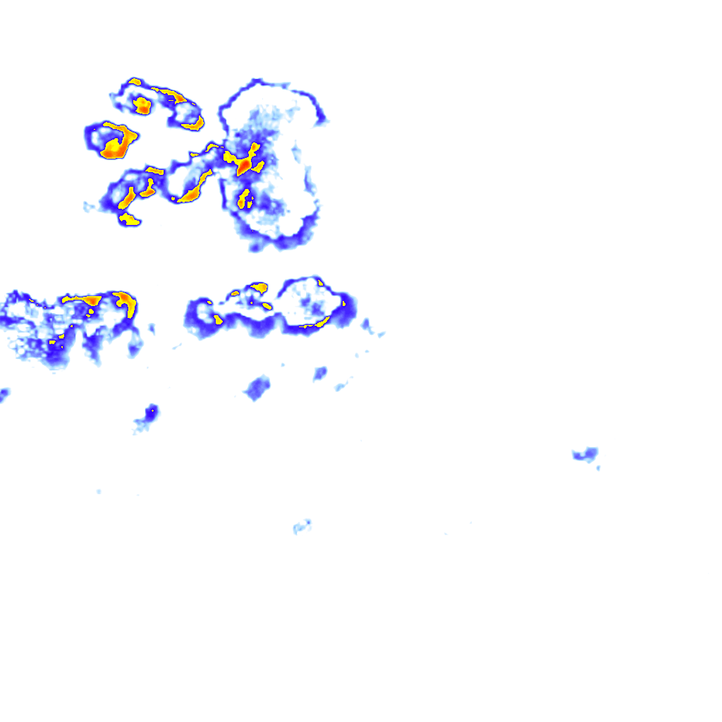 Image Layer