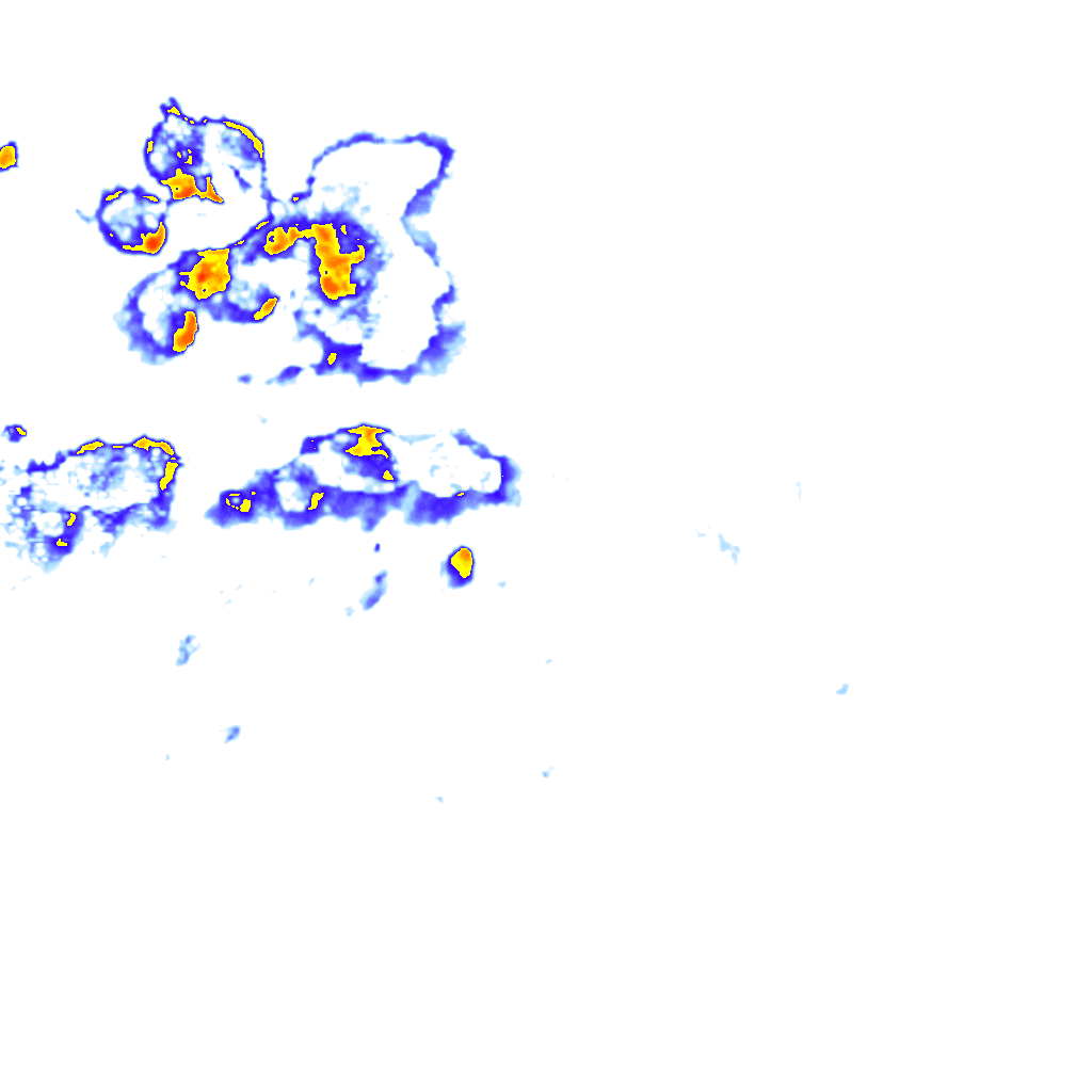 rainLayer