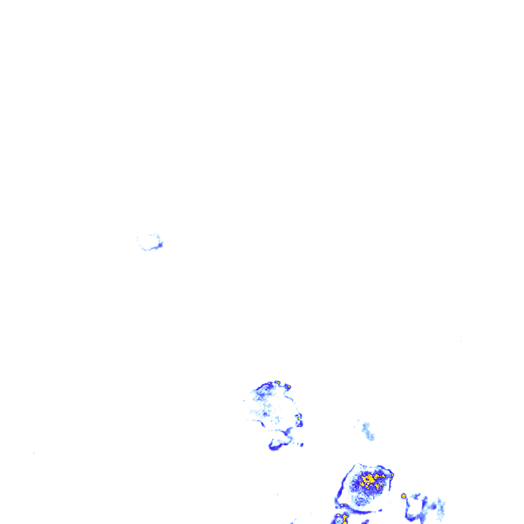 rainLayer