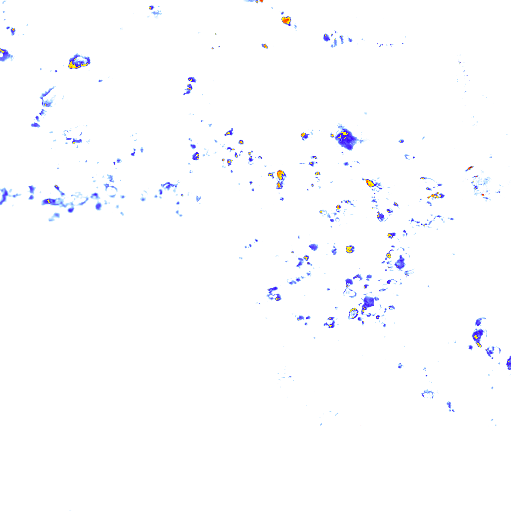 rainLayer