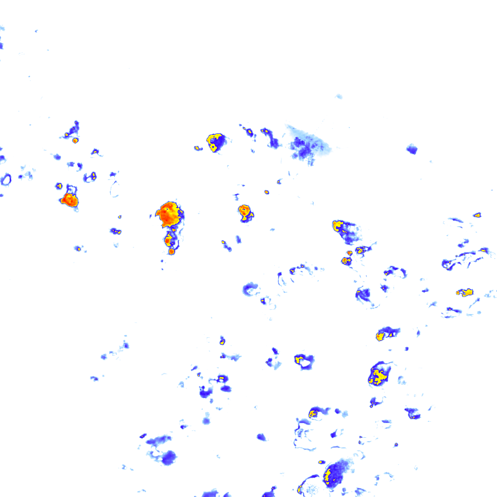 rainLayer