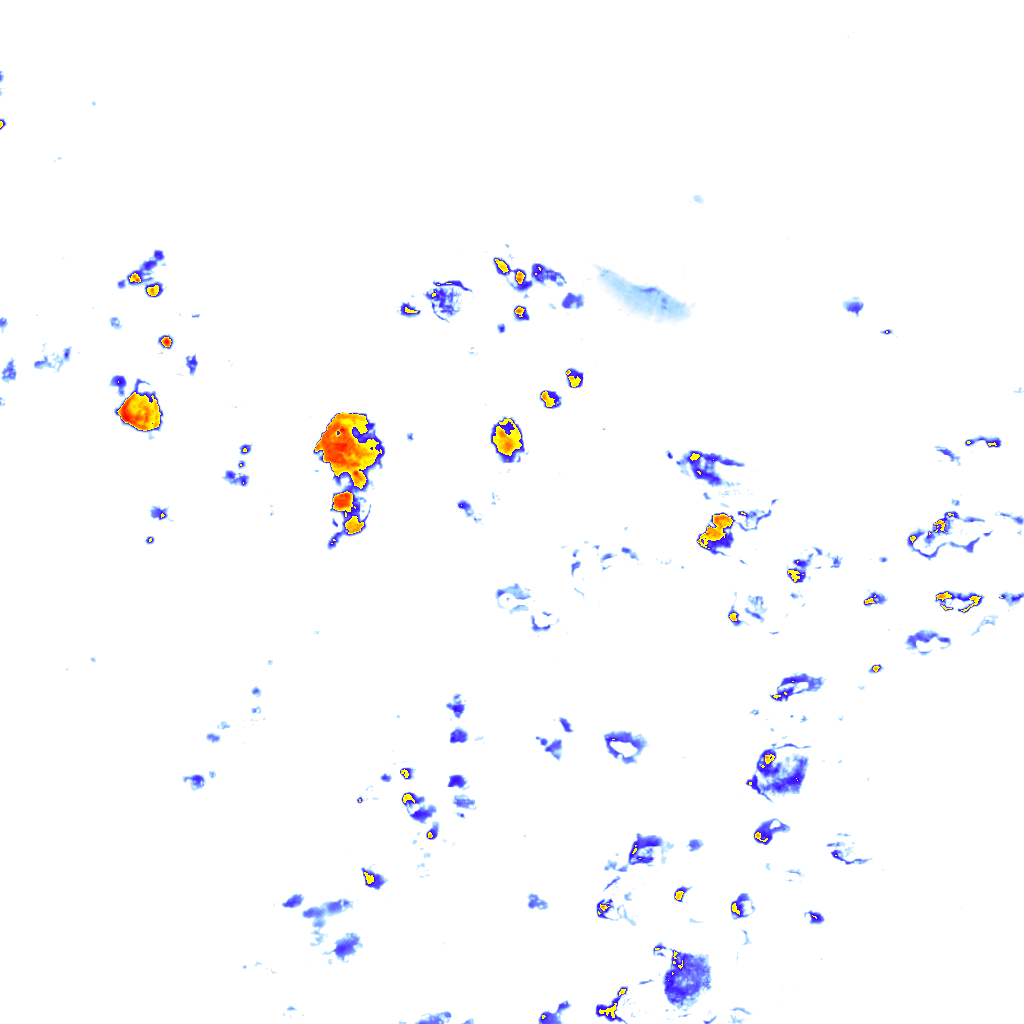 rainLayer