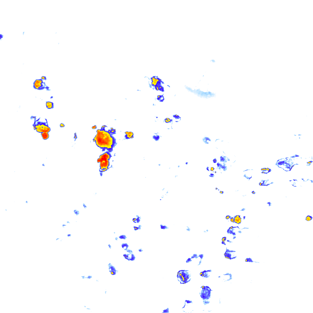 Image Layer