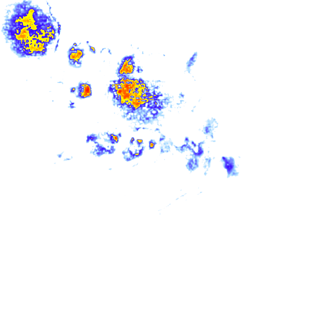 Image Layer