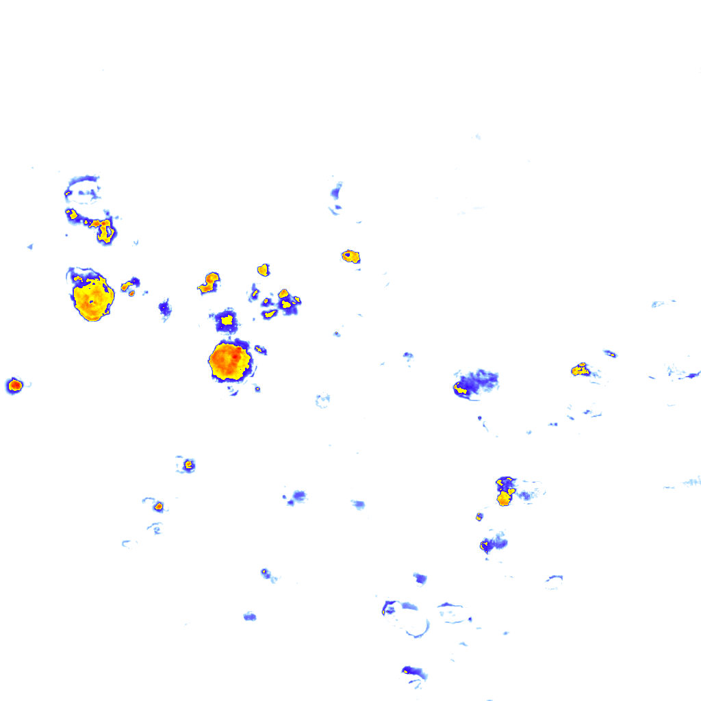 Image Layer