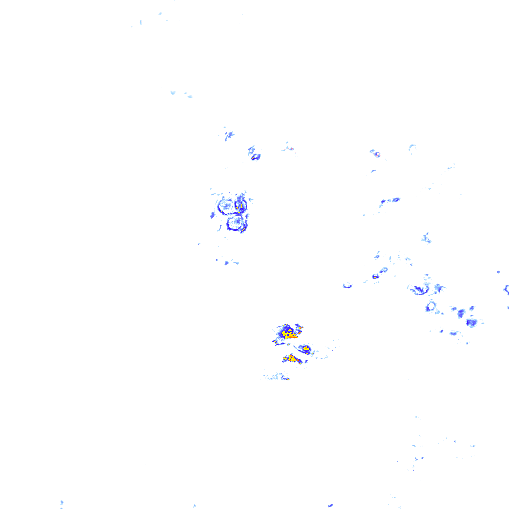 rainLayer