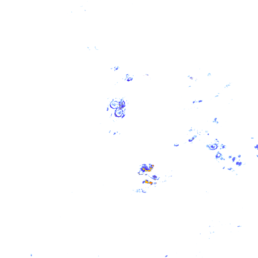 rainLayer