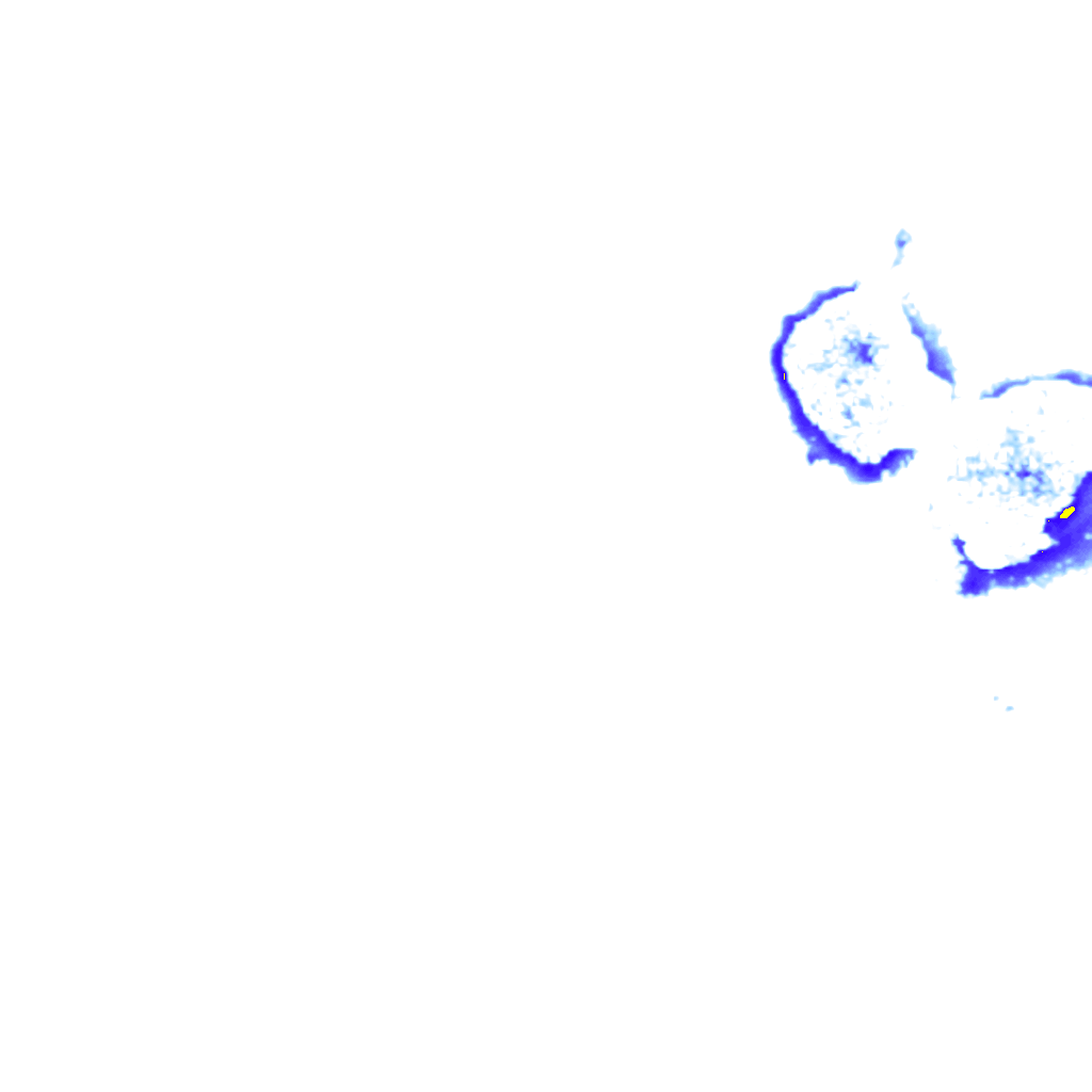 rainLayer