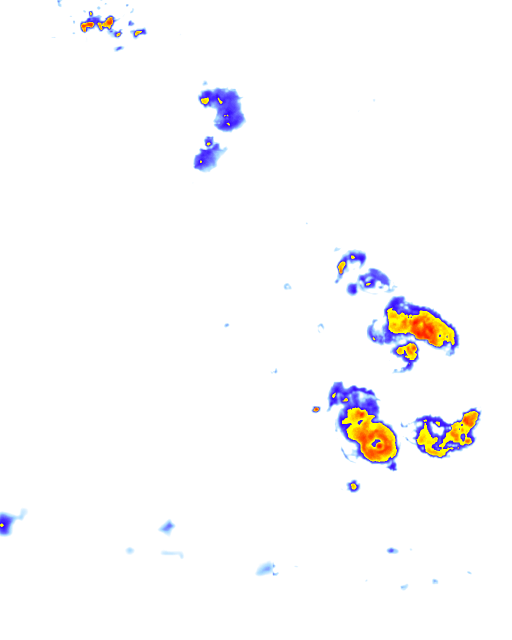 rainLayer