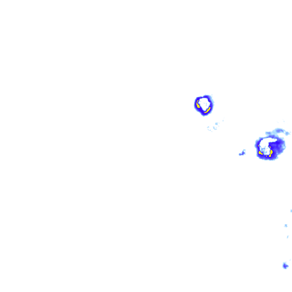 rainLayer