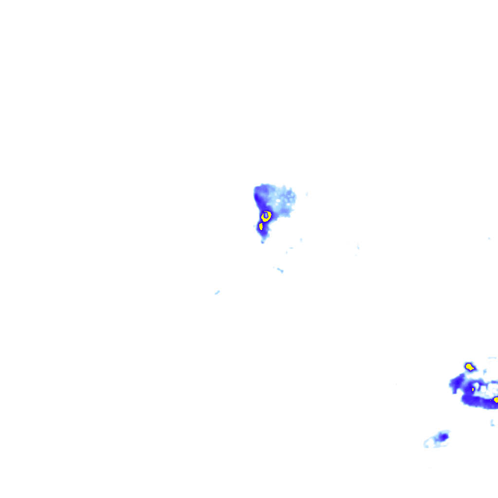 rainLayer
