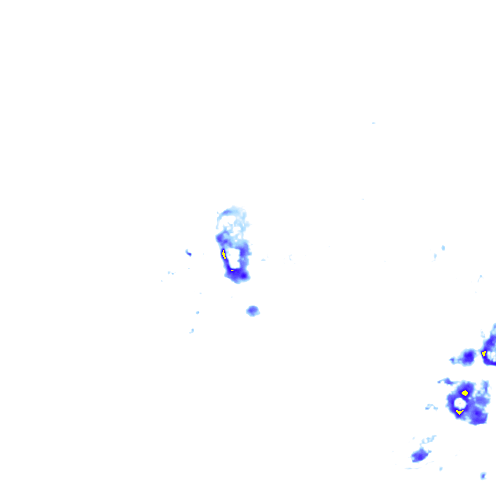 rainLayer