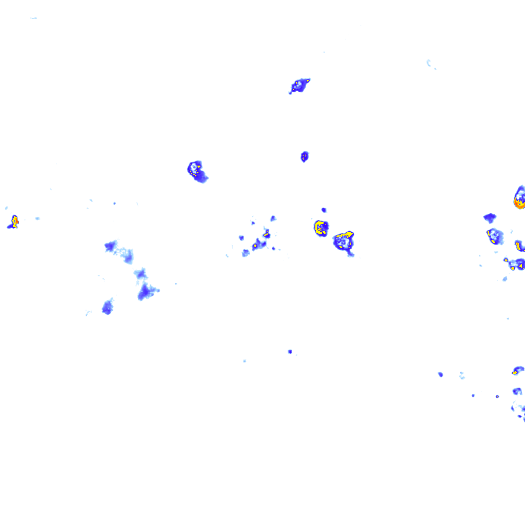 rainLayer