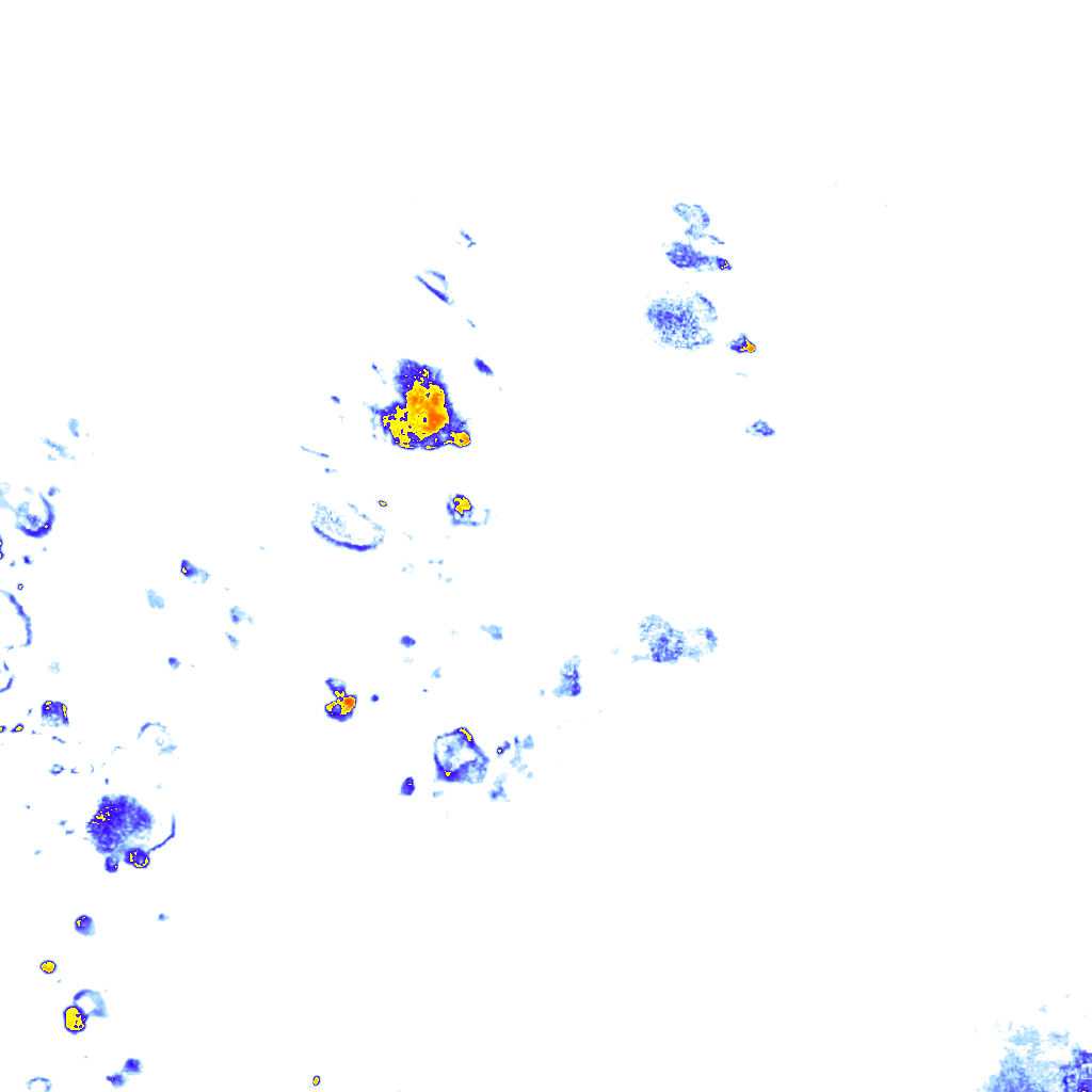 rainLayer
