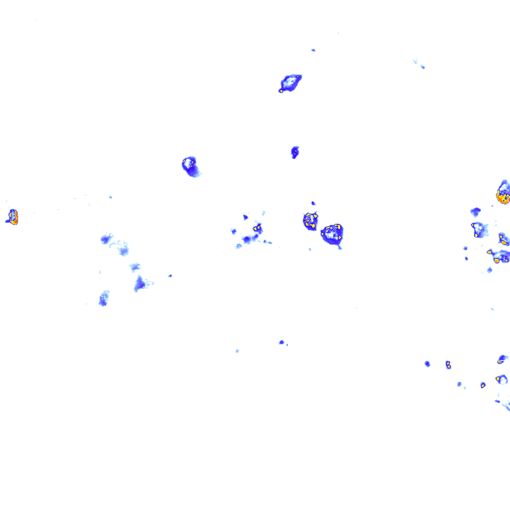 rainLayer