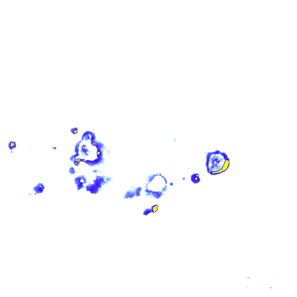 rainLayer