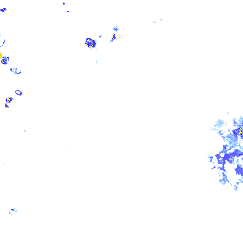 rainLayer
