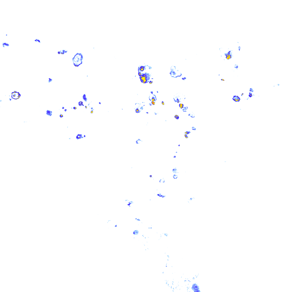 rainLayer